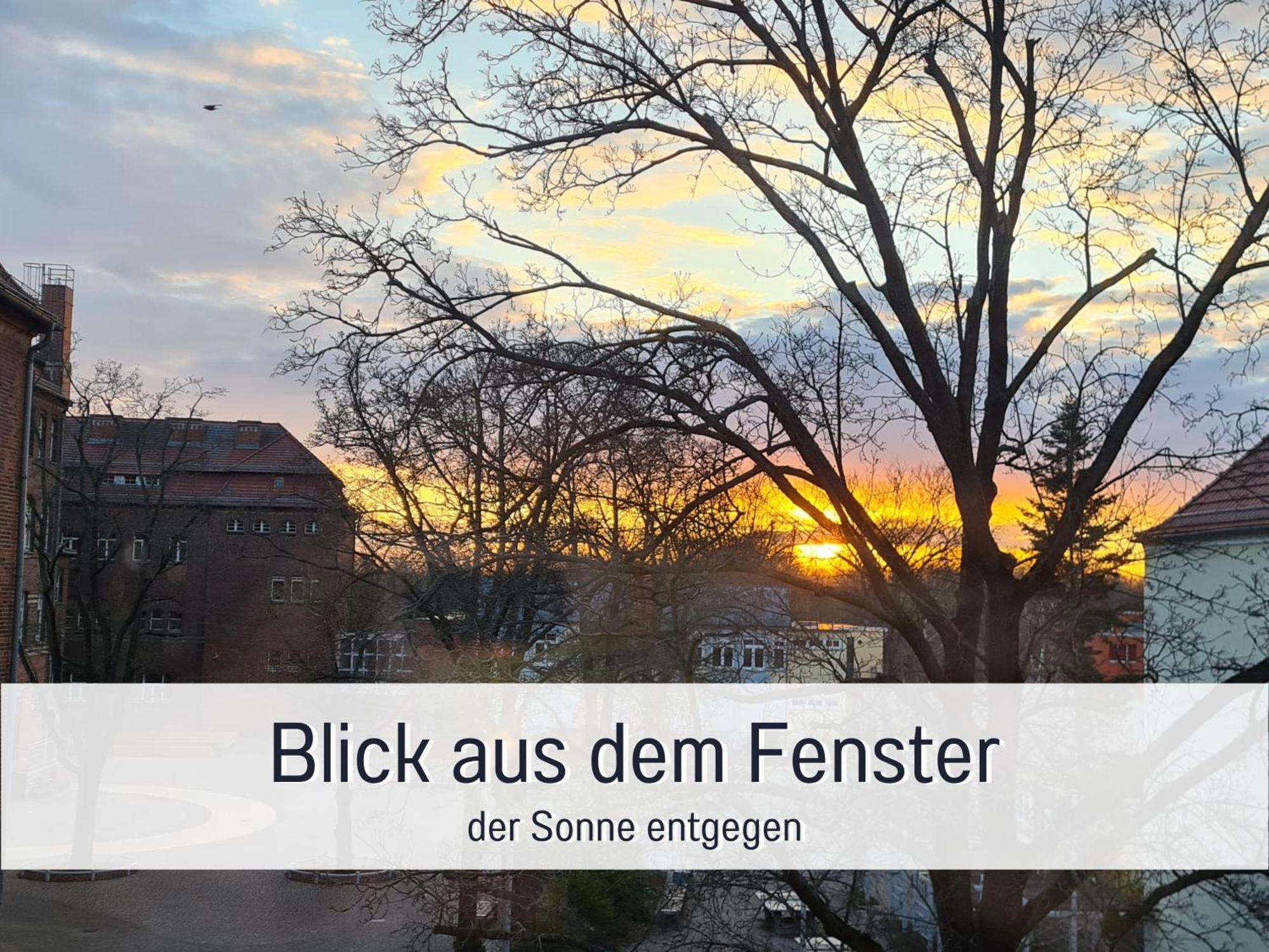 Lichtdurchflutete Moderne Stadtwohnung, Kueche, Waschtrockner, Smarttv Brandenburg  Exteriér fotografie